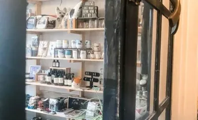 Zoomies Pet Cafe + Boutique, business photo 1